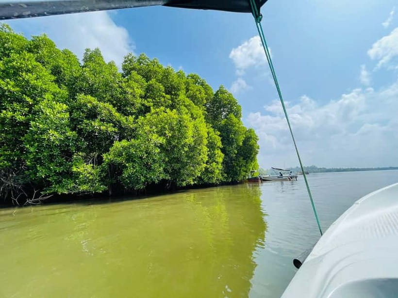 Bentota: River Safari with Hotel Pickup and Drop-Off - A peaceful ride, not a major adventure
