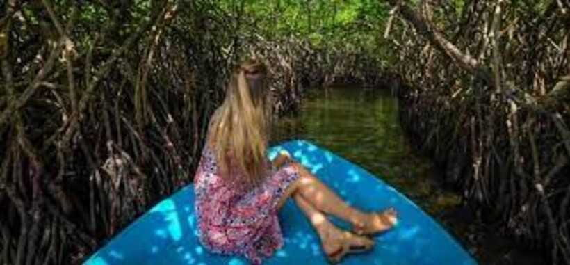 Bentota: River Safari with Hotel Pickup and Drop-Off - How much value you get for $28