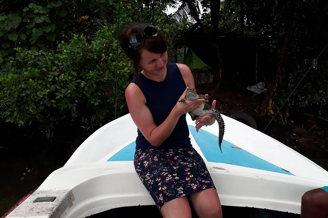 Bentota River Safari - Following the mangroves by private boat