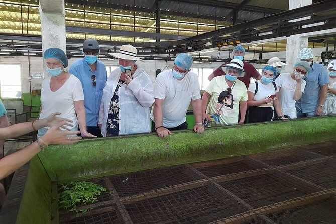 Bentota Village Tour with River Safari & Tea Plantation/Factory - All Inclusive - One day, many sides of coastal Sri Lanka