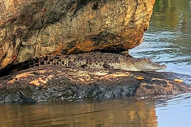 Bentota Village Tour with River Safari & Tea Plantation/Factory - All Inclusive - Turtle conservation, wood carving, and the local economy