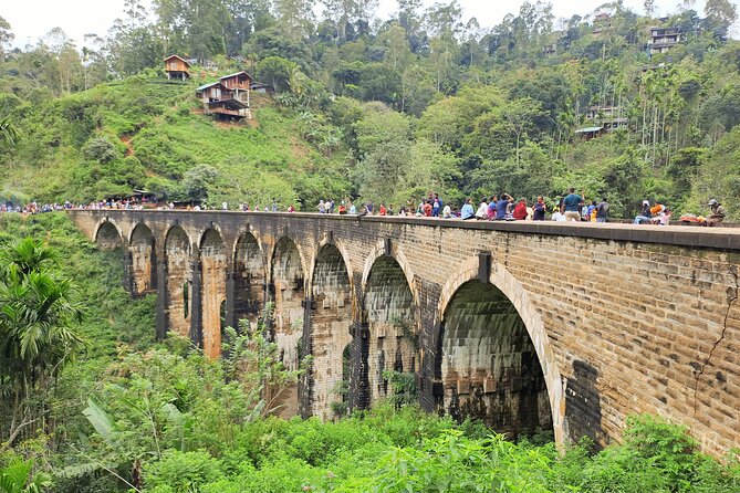 Best of Ella - Full Day, Private & Customize Tour - Price, private transport, and group value