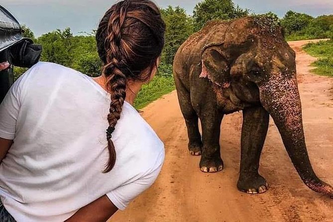 Best Of Sri lanka Tour (06 Days 05 Nights) - Kandy- N.Eliya -Bentota-Colombo - Five things to know before booking
