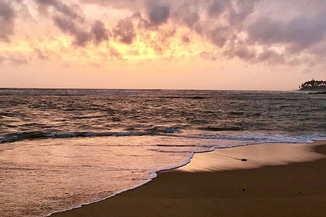 Best Of Sri lanka Tour (06 Days 05 Nights) - Kandy- N.Eliya -Bentota-Colombo - Colombo airport to Kandy, with elephants and Kandyan dance