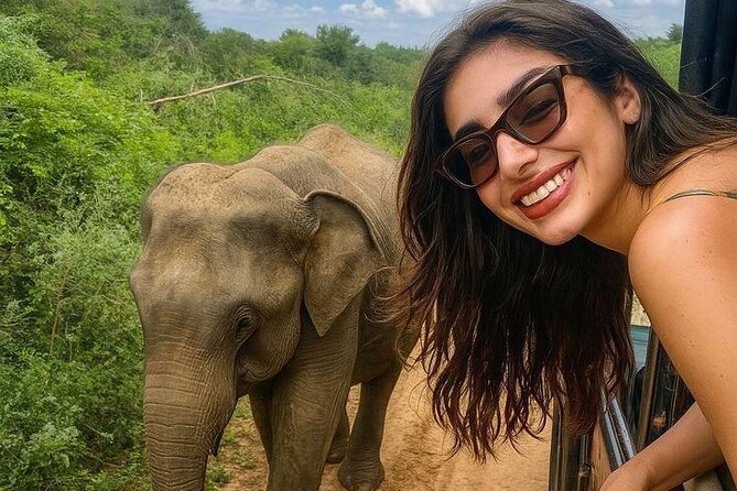 Best Value Yala Safari: Spot Leopards, Elephants & Bears (Shared) - Key Points Before You Book