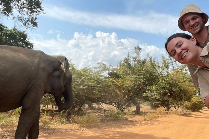 Best Value Yala Safari: Spot Leopards, Elephants & Bears (Shared) - Why Yala Safari Has Such Strong Appeal