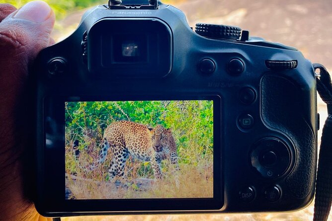 Best Value Yala Safari: Spot Leopards, Elephants & Bears (Shared) - The Six-Hour Route: A Focused Wildlife Morning