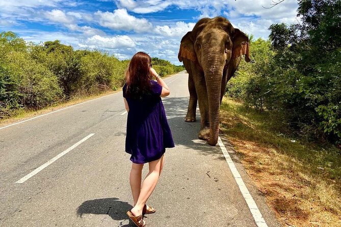Best Yala Shared Leopard Safari: Tissamaharama Wildlife Tours - Five useful things to know before booking