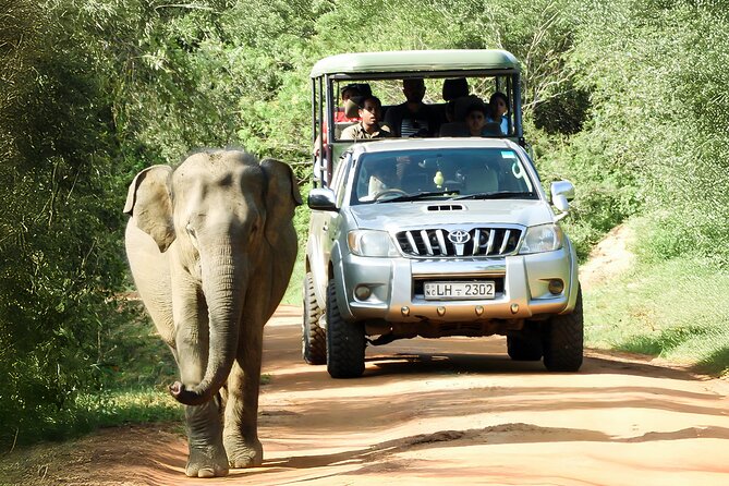 Best Yala Shared Leopard Safari: Tissamaharama Wildlife Tours - Entering Yala National Park with a shared jeep