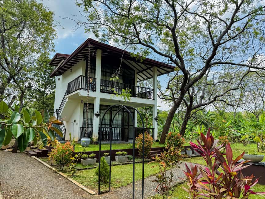 Budget Yala Safari with Accomadation & Meals Included - Key points at a glance