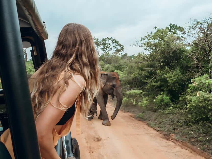 Budget Yala Safari with Accomadation & Meals Included - Arriving at Go Yala Hostel near Julpallama