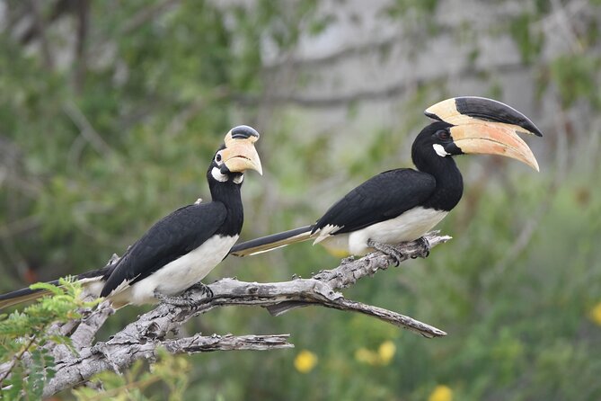 Bundala Birding Paradise - All Inclusive Tour - Who will get the most from this safari
