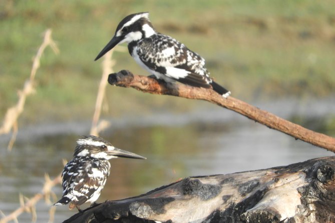 Bundala National Park Birds Watching Safari Tour - Inside Bundala Park with a private jeep