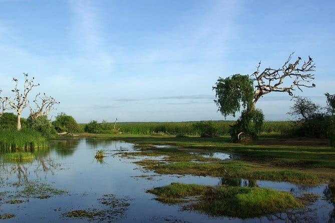 Bundala National Park by Ajith Safari - The 5 a.m. pickup from Tissamaharama