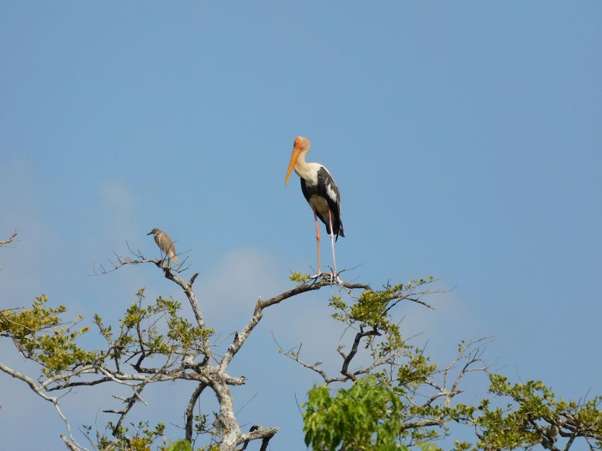 Bundala National Park Safari (PRIVATE TOURS) - What the guides add to the experience