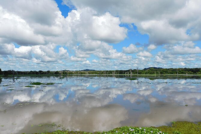 Bundala National Park : Safari Tour with Entrance tickets & Jeep - Elephants, crocodiles, and smaller wildlife