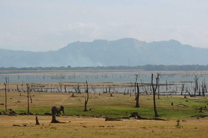 Bundala National Park : Safari Tour with Entrance tickets & Jeep - Who will enjoy this Bundala outing?