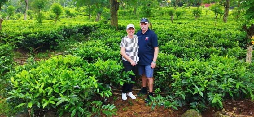 Ceylon Tea Experience from Colombo Port Passenger Terminal - Leaving Colombo for rice fields and rubber trees