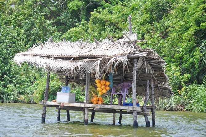 Coastal Ride to Galle from Bentota - Why this route works from Bentota