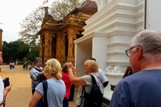 Colombo City Tour (small group with pickup from Cruise ship) - What the guide adds to a short itinerary