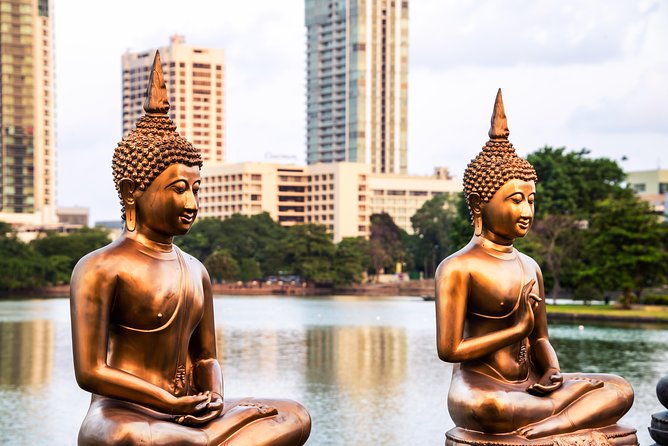 Colombo City Tour (small group with pickup from Cruise ship) - Getting from the ship to your vehicle