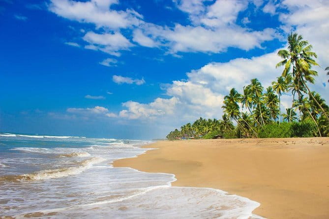 Colombo (CMB) Airport to Kandy City Private Transfer - What the $48 price really buys you