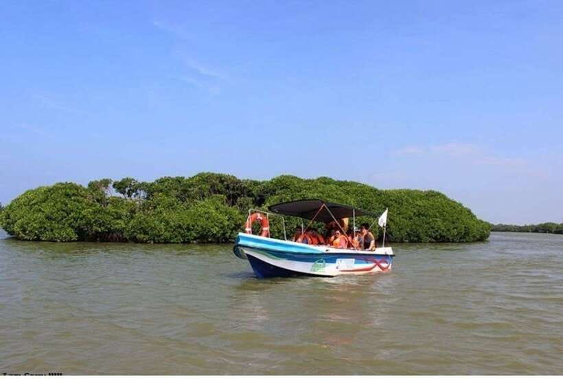 Colombo/Negombo: Muthurajawela & Dutch Canal Boat Adventure - Key points at a glance