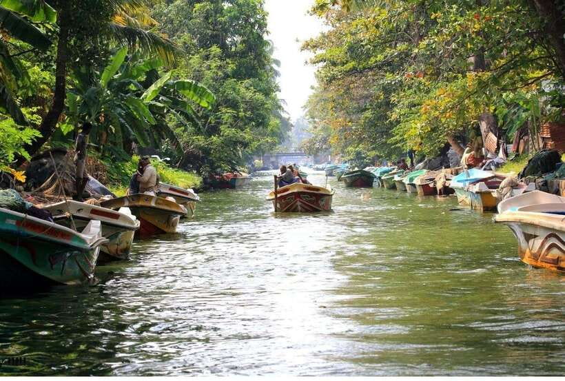 Colombo/Negombo: Muthurajawela & Dutch Canal Boat Adventure - Why this morning works well in western Sri Lanka