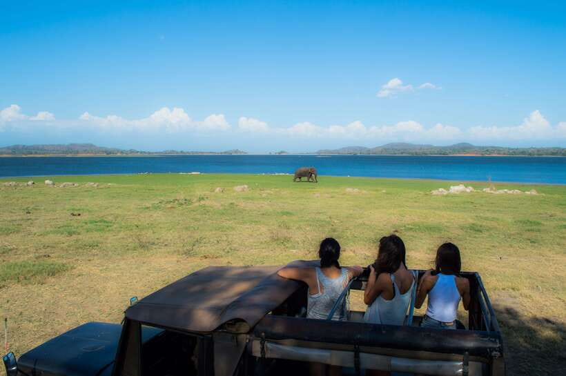 Colombo/Negombo: Sigiriya, Dambulla, and Minneriya Safari - What to pack and how to prepare