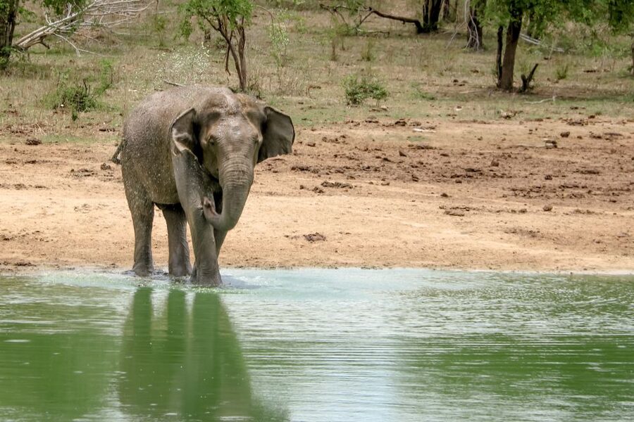 Colombo/Negombo: Sigiriya, Kandy, Ella 3-Day Trip with Train - Who should book this three-day route?