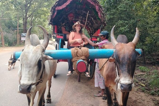 Colombo , Negombo to Trincomalee Transfer and Safari - Booking details and practical timing