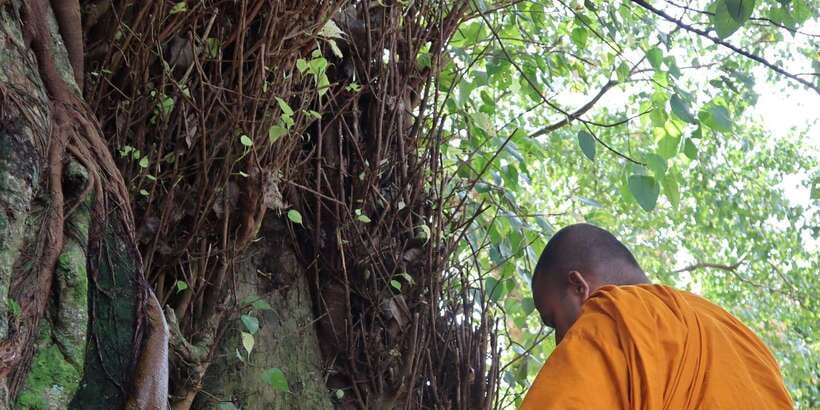 Colombo Port Shore Excursions Colombo City & Kalaniya Temple - Jami Ul-Alfar Mosque and the streets of Pettah
