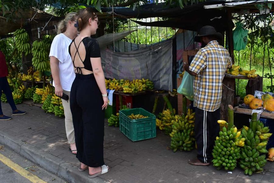 Colombo: private city tour from Negombo with hotel transfers - Heat, transport, and what to bring