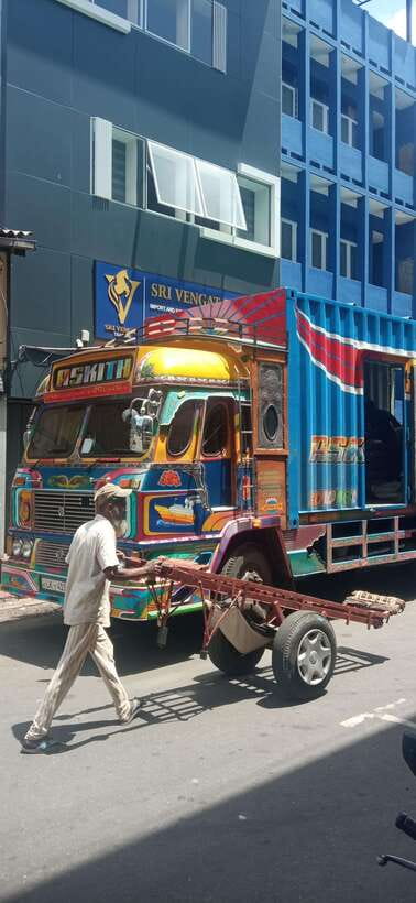 Colombo Sightseeing Private Tour by Tuk Tuk MorningOREvening - Viharamahadvi Park and the tea stop