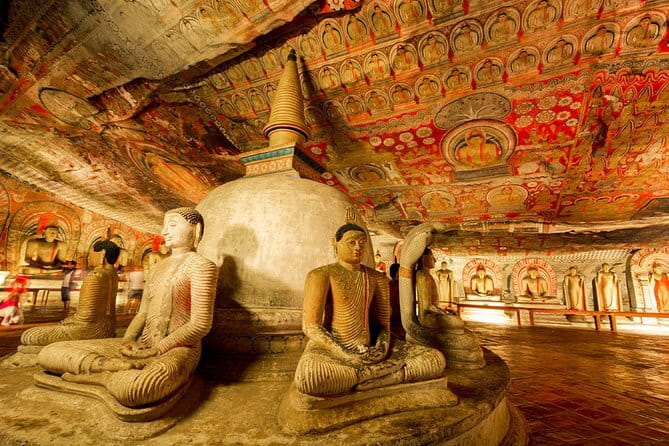 Colombo to Kandy Shuttle with Dambulla Sightseeing Tour - What the $100 price really covers