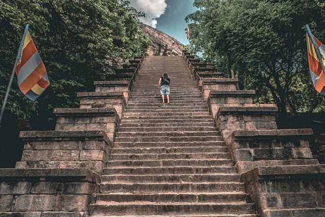 Colombo to Kandy Shuttle with Dambulla Sightseeing Tour - Important booking details before you commit
