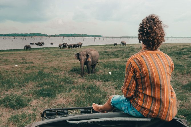 Colombo to Trincomalee Shuttle & Safari Drive - Choosing between Minneriya, Kaudulla, and Hurulu