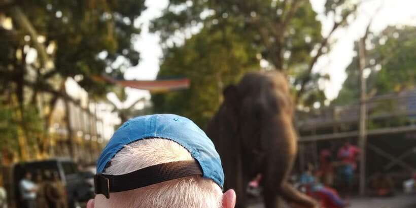 Colombo Tuk Tour with Food and Drinks(morning and evening) - Morning or evening: choosing the better departure