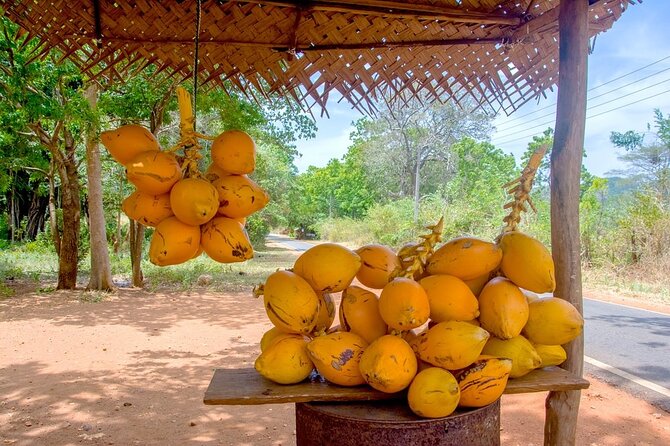 Colombo Tuk Tuk Adventure Explore Food & Culture - Aluthkade food stops and what to expect