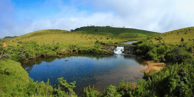 Comprehensive Excursion: Horton Plains and Pedro Tea Factory - Baker Falls gives the trail a second highlight