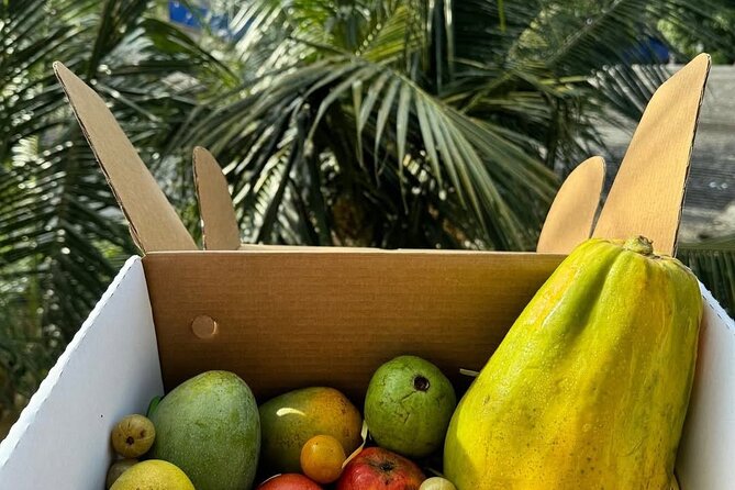 Cooking Class and Market Visit in Negombo - Why this Negombo food experience works