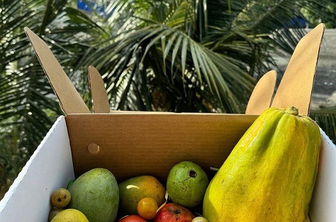 Cooking Class and Market Visit in Negombo - Who should book this cooking class?