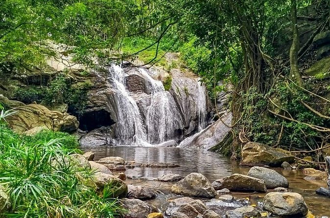 Customized Multi-Day Private Tour Packages in Sri Lanka - Day 5: Mirissa, the coast, and the old fort