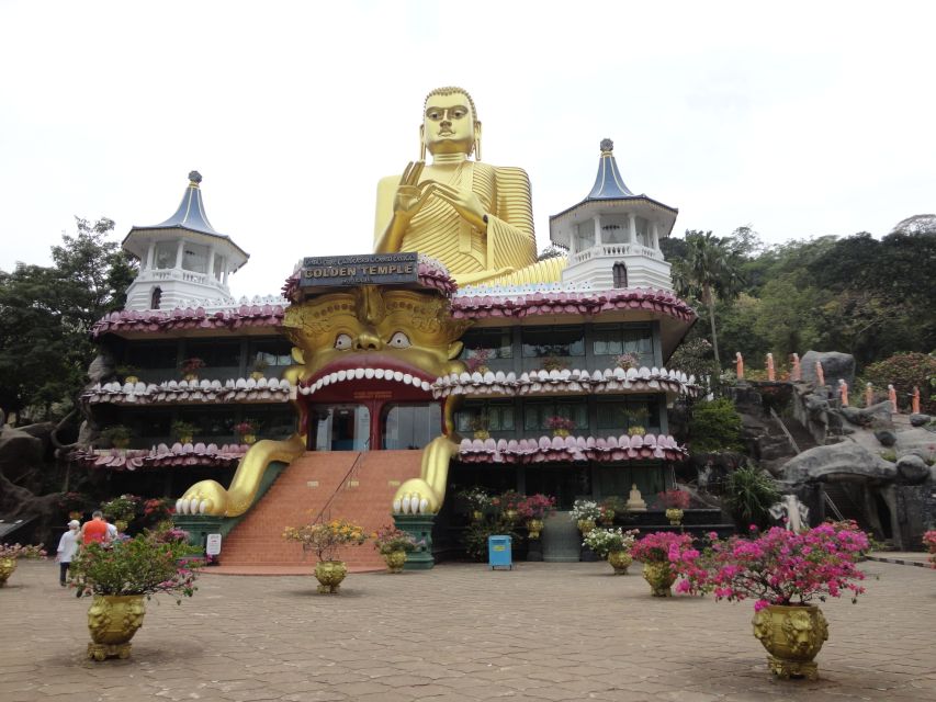 Dambulla: Cave Temple and Village All-Inclusive Tour - Should you book the Dambulla village tour?