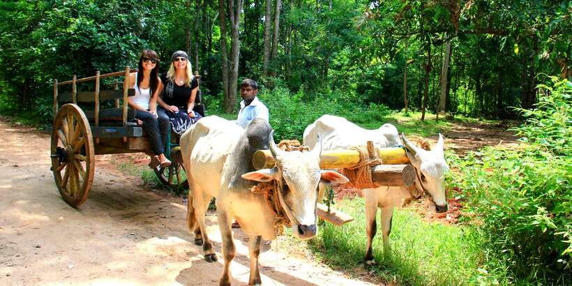 Dambulla: Cave Temple and Village All-Inclusive Tour - A traditional catamaran ride on the lake