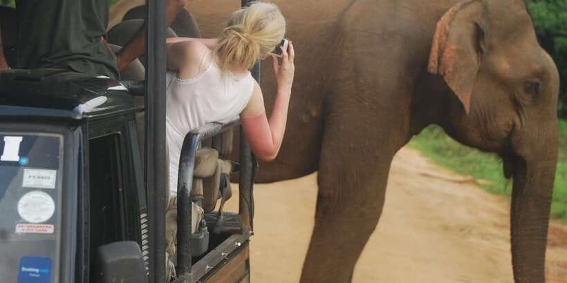 Day Safari From Hambantota - Key points to know before booking