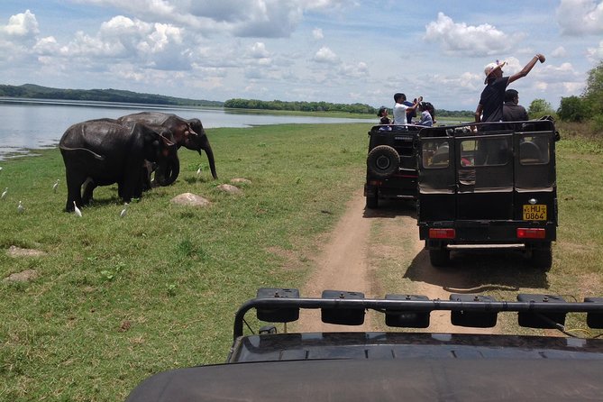 Day Tour from kandy to Sigiriya, Dambulla & National Park safari. - Key points before you book