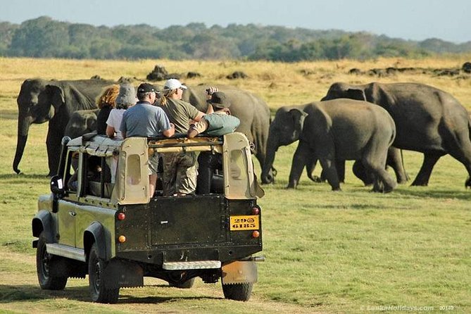 Day Tour from kandy to Sigiriya, Dambulla & National Park safari. - Sigiriya Rock: Sri Lanka’s great archaeological climb