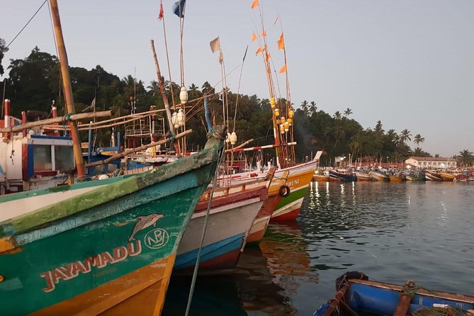 Day tour of Galle - Weligama’s stilt fishermen: a quick reality check