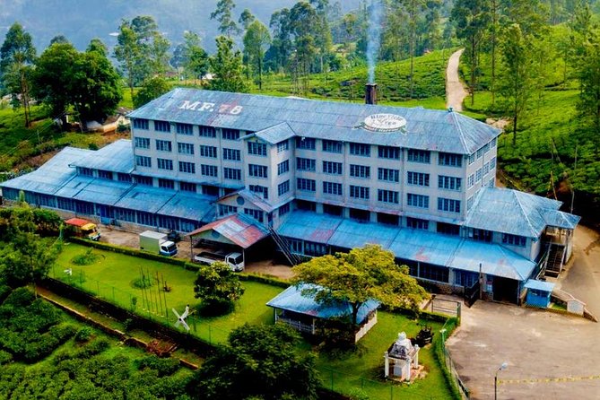 Day Tour of Nuwara Eliya - Why the private format matters on this route